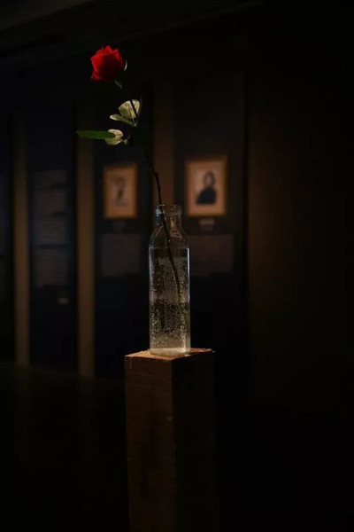 C20180612002-zx8 C20180612002-zx8