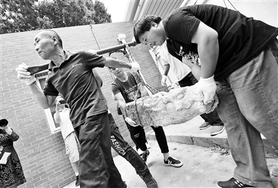 ▲昨天圆明园将四件汉白玉螭头从街道办事处“带回家”