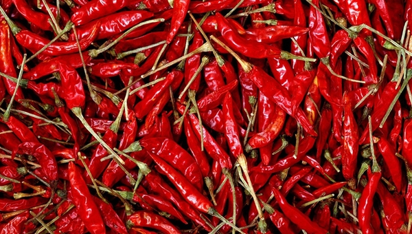 MAIN201806140906111815098217225 MAIN201806140906111815098217225