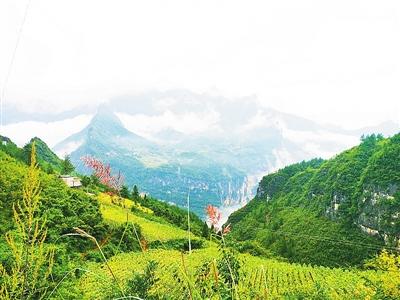 传说中有山鬼出没的山鬼坪 点击进入下一页