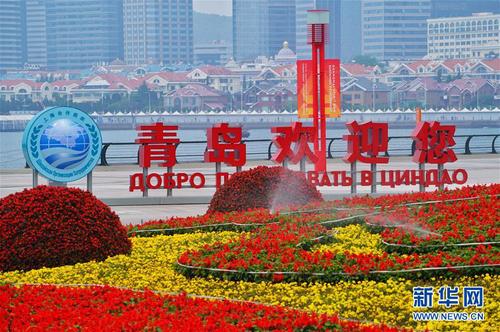 2146954_500x500 2146954_500x500