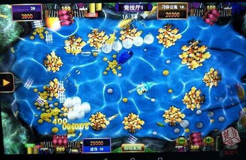 庄家两年赚3000多万 湖北破获特大手机网络赌博案