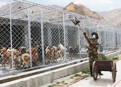 QQ截图20180615095442 QQ截图20180615095442