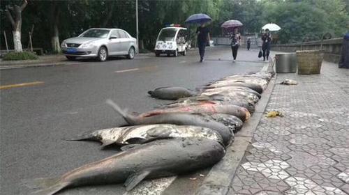 646b3ceb3e28098993122a63fbd8fc26.jpg 850f8181a7b585c2865bf8955f3f475b.jpg