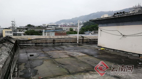 男子7楼楼顶建游泳池蓄水40吨 官方:进入处罚程序