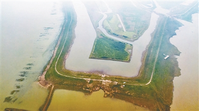 12269188345989557258 12269188345989557258