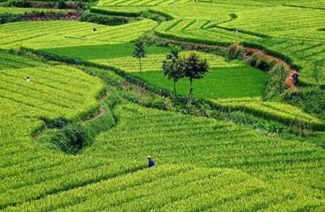 QQ截图20180617150559 QQ截图20180617150559