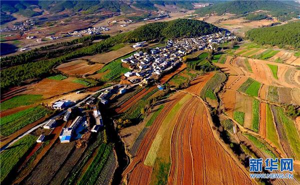 W020170206307087788588 W020170206307087788588