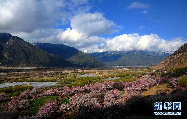 119985158_13959673440721n 119985158_13959673440721n