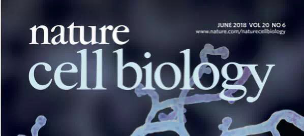 1123004129_15293898393381n 1123004129_15293898393381n