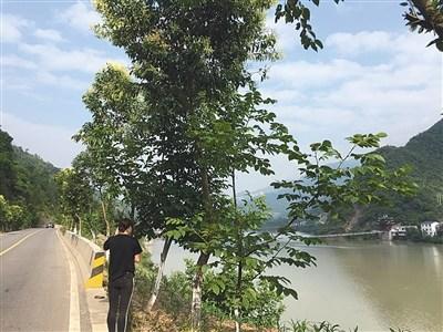 两份结论相反的血液检测背后的保费案真相是什么