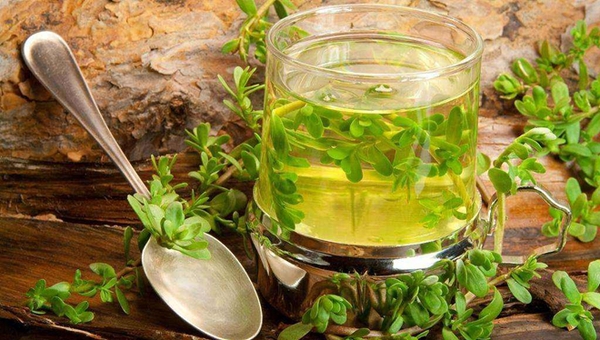 MAIN201806210925226554462893626 MAIN201806210925226554462893626