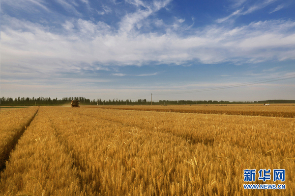 1121152989_14975774492571n 1121152989_14975774492571n