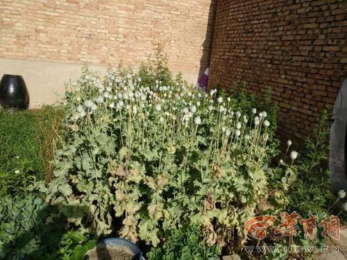 0a186y6y.jpg 0a186y6y.jpg