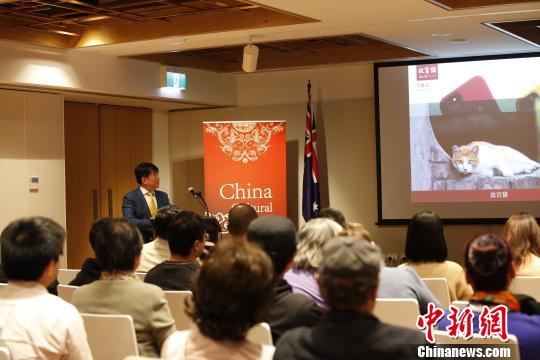 中国侨网讲座现场。 林丹　摄