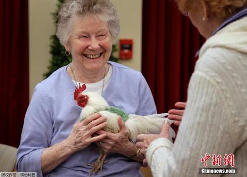 e86460ae08ff4e769b9b48fbf2f82945 e86460ae08ff4e769b9b48fbf2f82945