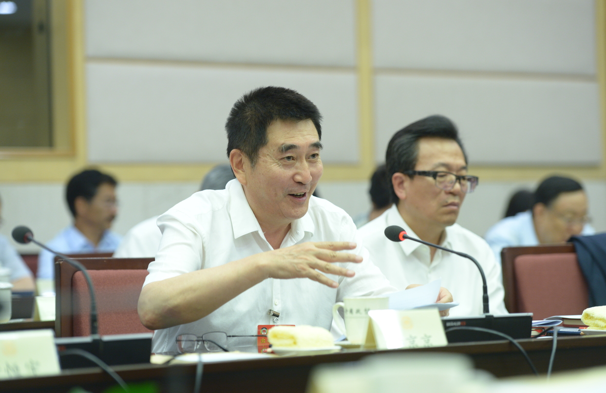 毕京京委员在小组会上发言