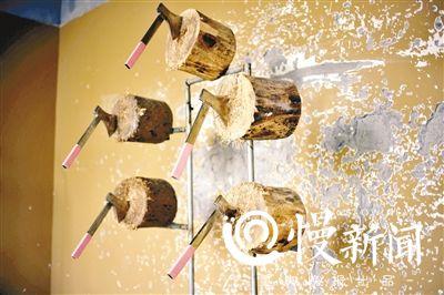 男子13年练成飞斧功:蒙眼扔斧精准 徒弟当靶子