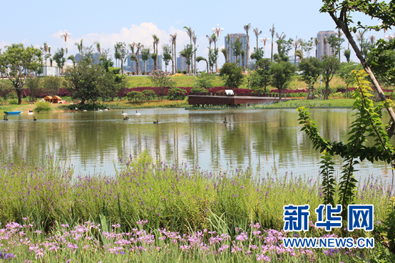 129901570_15300614116481n 129901570_15300614116481n