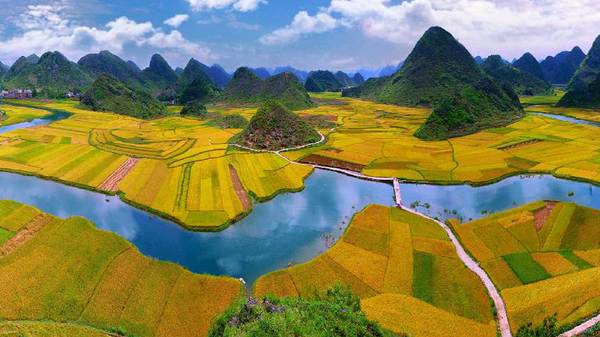 135047032_14537957519941n 135047032_14537957519941n