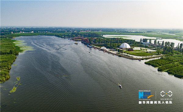 64006a5c80941acd2e0242 64006a5c80941acd2e0242