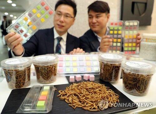 韩国人爱上昆虫餐:昆虫养殖供不应求