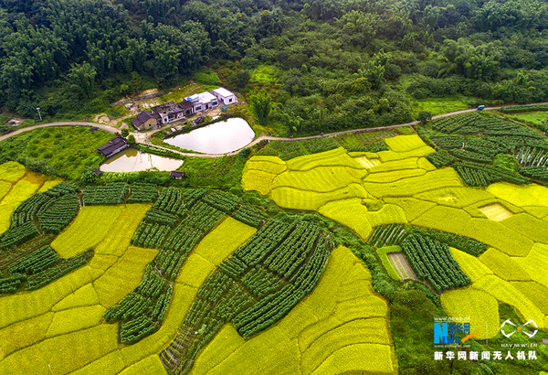 1121420166_15017309808281n 1121420166_15017309808281n