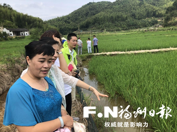 15308316727357 15308316727357