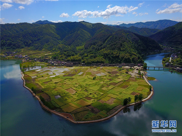 1120961567_14945580694481n 1120961567_14945580694481n