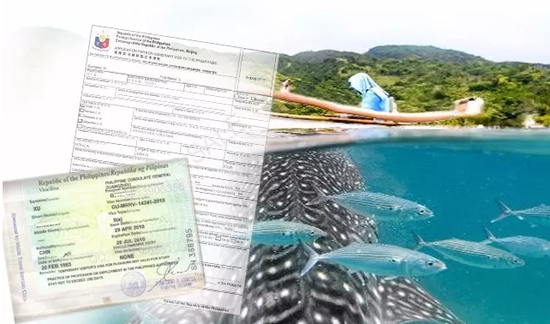 1530839935791516.png 1530839935791516.png