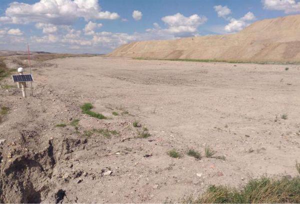 图3 已完成治理的排土场生态恢复效果差