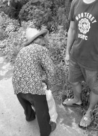 湖南农大价值千万科研玉米被偷 可能影响学生毕业