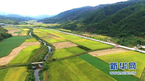 acd1b88326ad196dd69331 acd1b88326ad196dd69331