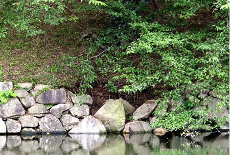 暴雨灾害致日本国宝彦根城内部分石墙崩落垮塌