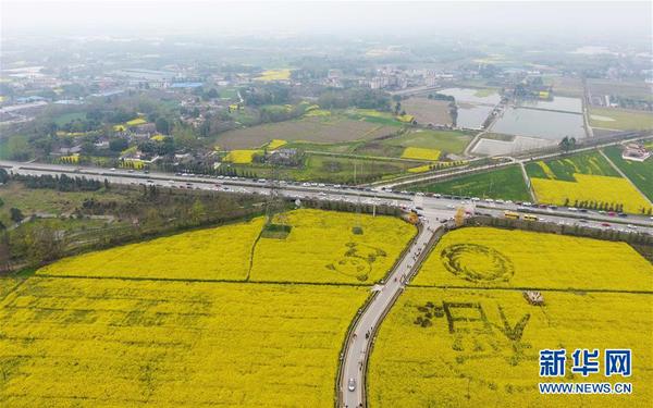 1120652156_14898386247661n 1120652156_14898386247661n