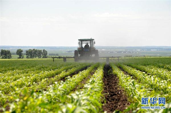 135468246_14669831018631n 135468246_14669831018631n