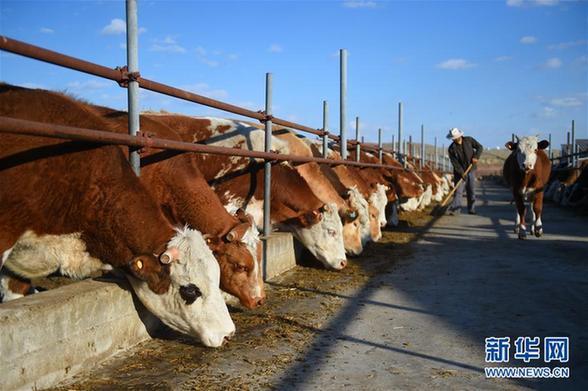 129912276_15313656997361n 129912276_15313656997361n