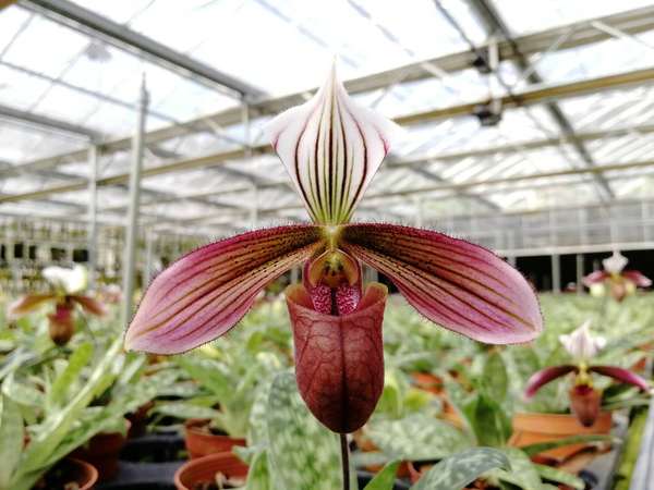 微信图片_20180714125502 微信图片_20180714125502