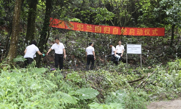 微信图片_20180714125514 微信图片_20180714125514