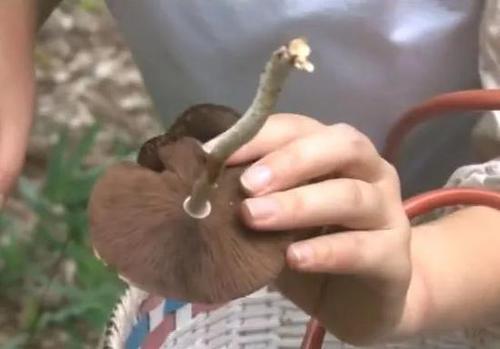 男子每天出门去捡这小东西 日积月累竟赚了套房子