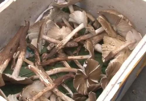 男子每天出门去捡这小东西 日积月累竟赚了套房子