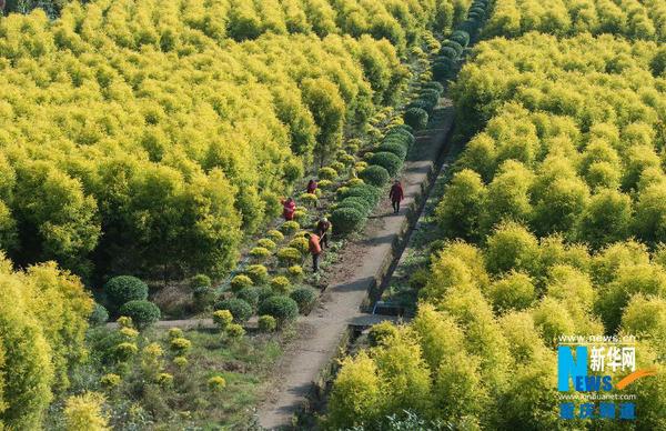 2601203602401112467 2601203602401112467