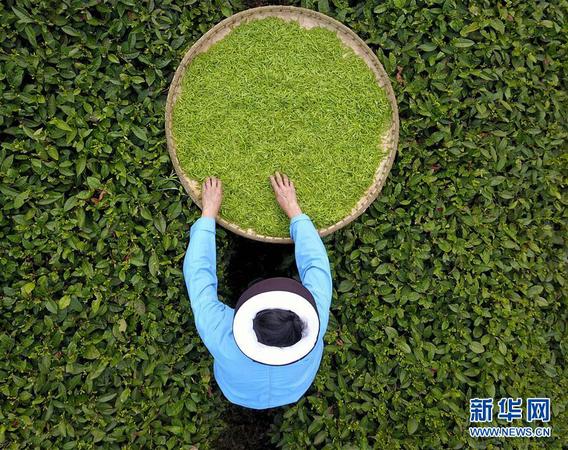 1123134571_15317468535321n 1123134571_15317468535321n