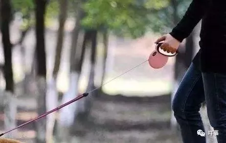 我家的狗不咬人!于是她松开狗绳 结果邻居十级伤残