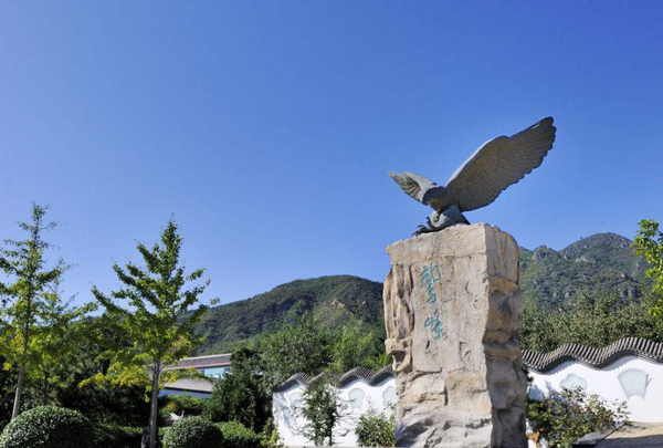 QQ截图20180718092015 QQ截图20180718092015