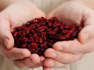 夏季这几样食物 能“一键删除”湿气!