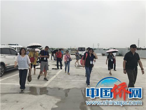 海外华文媒体代表进入雄安新区。 周欣媛 摄