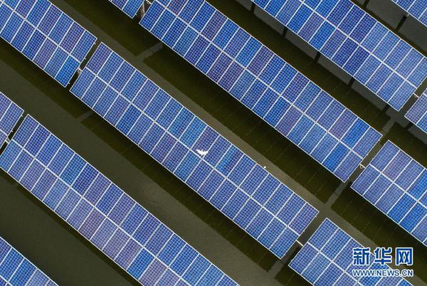 1123151173_15320047649931n 1123151173_15320047649931n