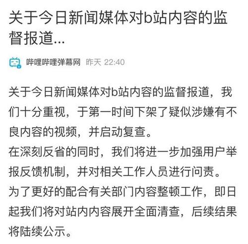B站回应被央视点名:已下架涉嫌不良内容的视频