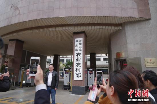 4月3日，新组建的农业农村部在北京正式挂牌，民众争相与新牌合影。 <a target='_blank' href='http://www.chinanews.com/'>中新社</a>记者 贾天勇 摄